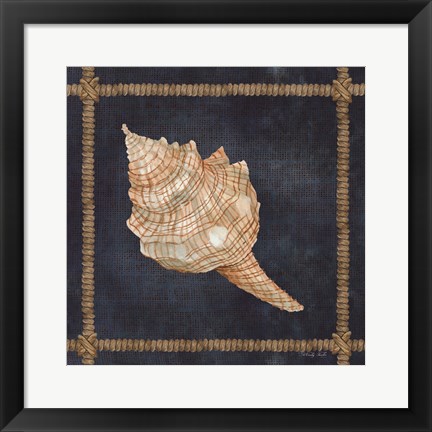 Framed Seashell on Navy IV Print