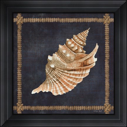 Framed Seashell on Navy V Print