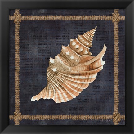 Framed Seashell on Navy V Print