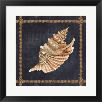 Framed Seashell on Navy V Print