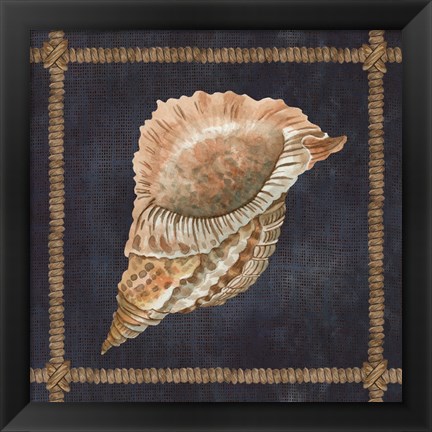 Framed Seashell on Navy VI Print