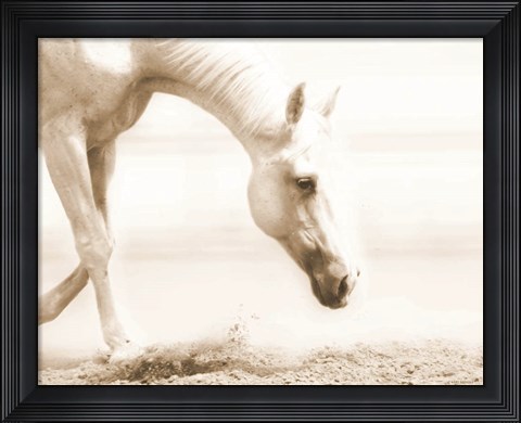 Framed Trail Horse Sepia Print