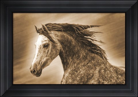 Framed Addie Gray Print