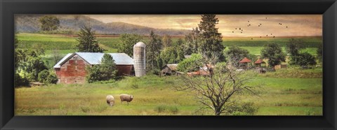 Framed Grazing Sheet Print