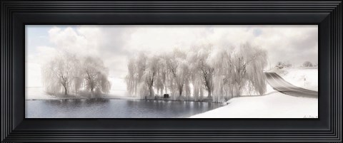 Framed Winter Willow Print