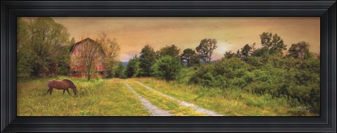 Framed Good Grazing Print
