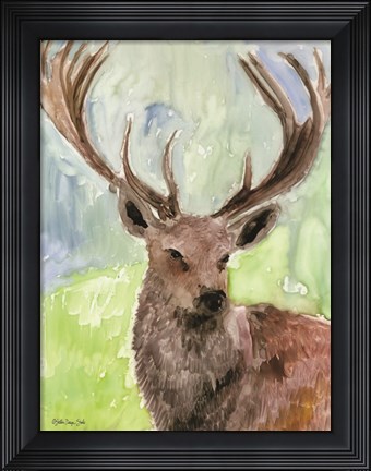 Framed Pacific Coast Wildlife 6 Print