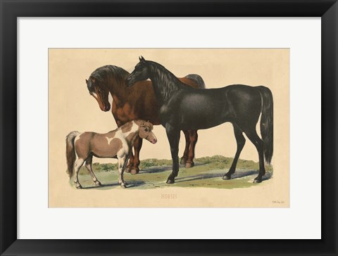 Framed Horses Print