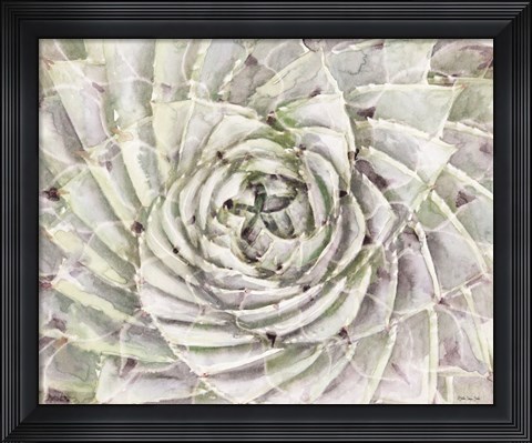 Framed Succulent Macro Print