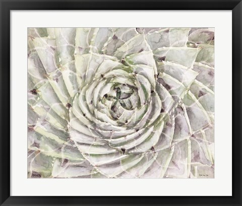 Framed Succulent Macro Print
