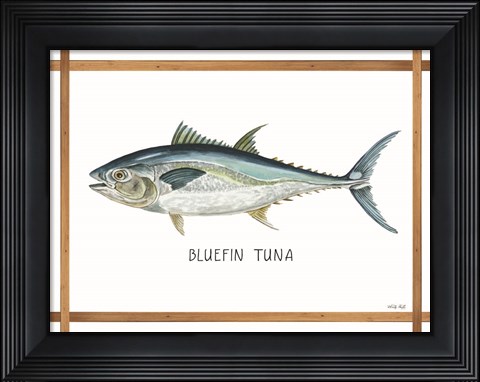 Framed Bluefin Tuna on White Print