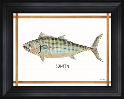 Framed Bonita on White Print