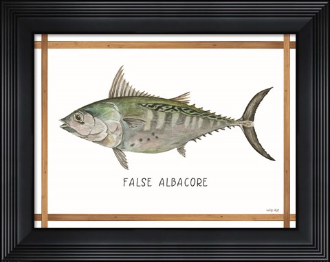 Framed False Albacore on White Print
