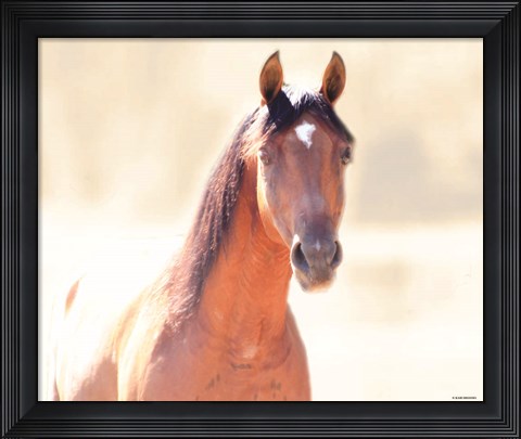 Framed Straight Up Berry Print