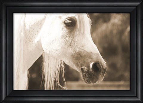 Framed Rocker Guy Print