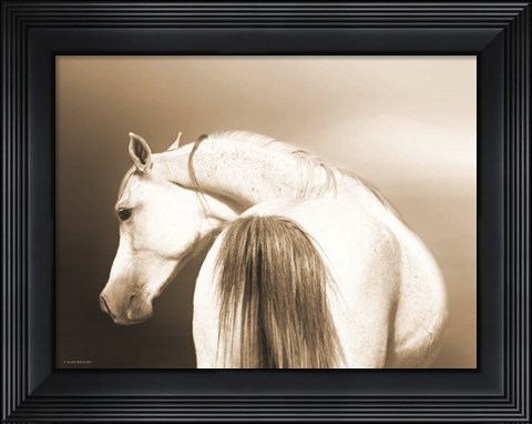 Framed Handsome Dash Print