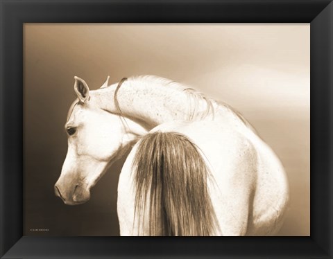 Framed Handsome Dash Print