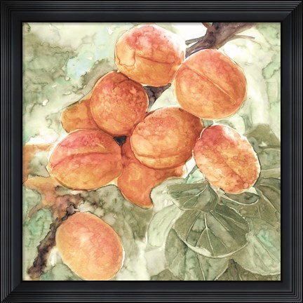 Framed Peach Branch Print
