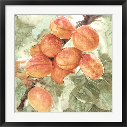 Framed Peach Branch Print