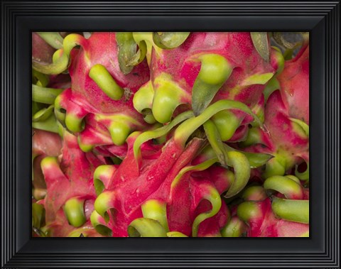 Framed Dragon fruit Print