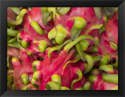 Framed Dragon fruit Print