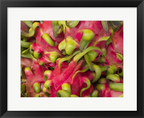 Framed Dragon fruit Print