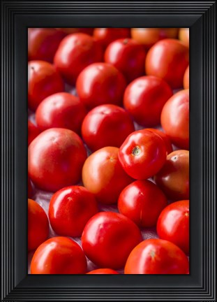 Framed Farmers Market in Autumn Print