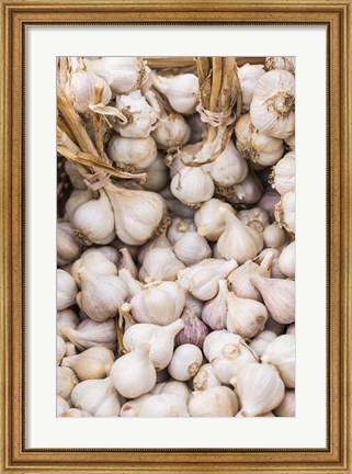 Framed Farmers Market - Garlic Print