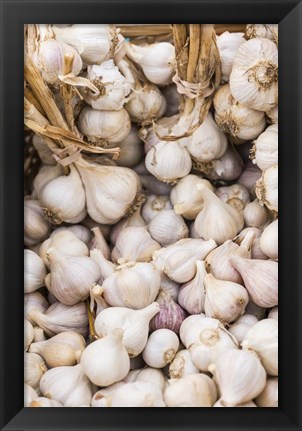 Framed Farmers Market - Garlic Print