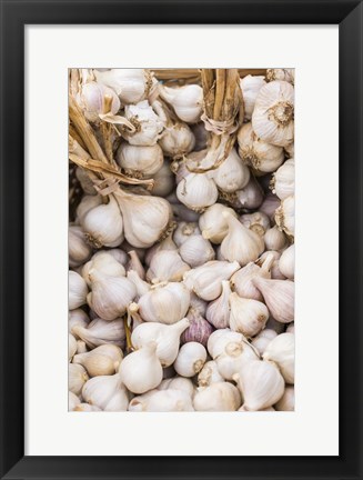 Framed Farmers Market - Garlic Print