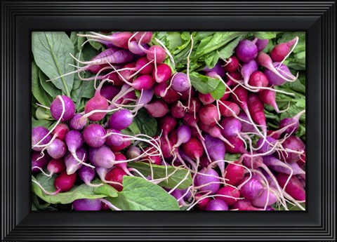 Framed Radishes Print