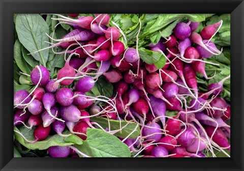 Framed Radishes Print