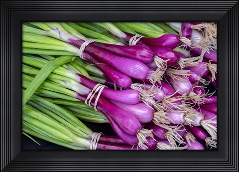 Framed Purple Scallions Print