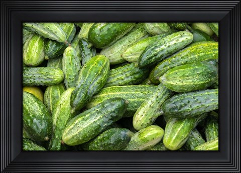 Framed Cucumbers Print