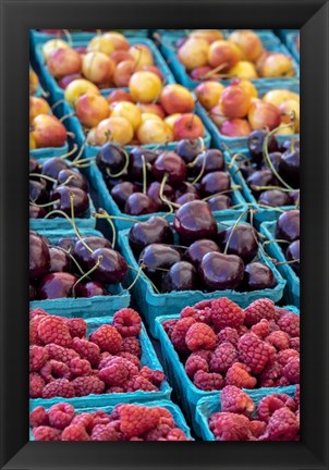 Framed Cherries and Berries Print