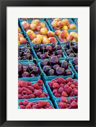 Framed Cherries and Berries Print