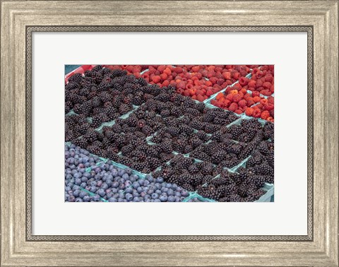 Framed Colorful Berries Print