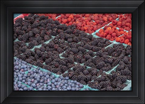 Framed Colorful Berries Print