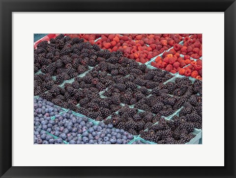 Framed Colorful Berries Print