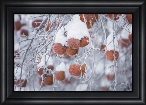 Framed Orchard in Winter Print