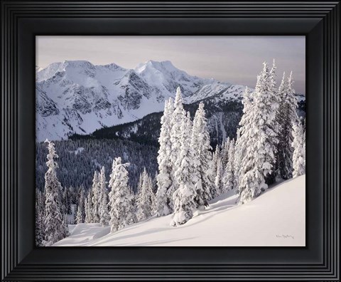 Framed Cariboo Mountains Print
