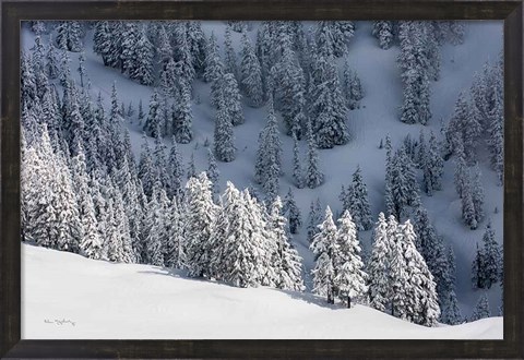 Framed North Cascades in Winter III Print