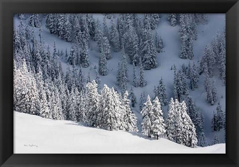 Framed North Cascades in Winter III Print