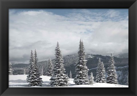 Framed North Cascades in Winter II Print