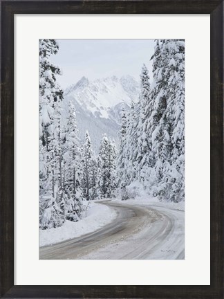 Framed Mount Baker Highway II Print