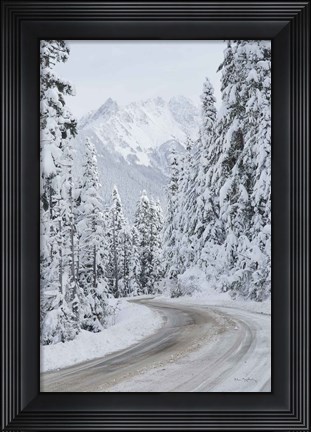 Framed Mount Baker Highway II Print