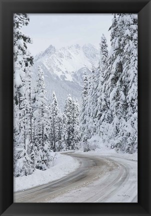 Framed Mount Baker Highway II Print