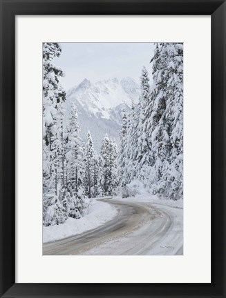 Framed Mount Baker Highway II Print