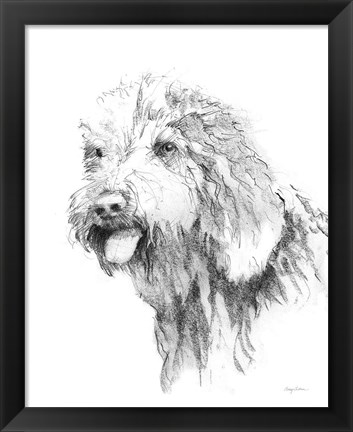 Framed Goldendoodle Sketch Print