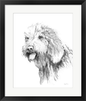 Framed Goldendoodle Sketch Print